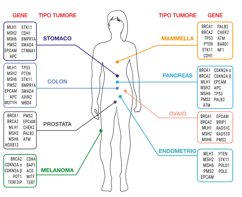 diagnosi-image-2