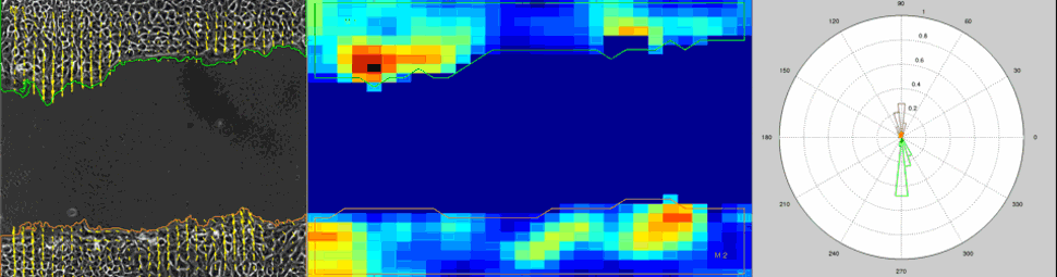 Microscopia-1