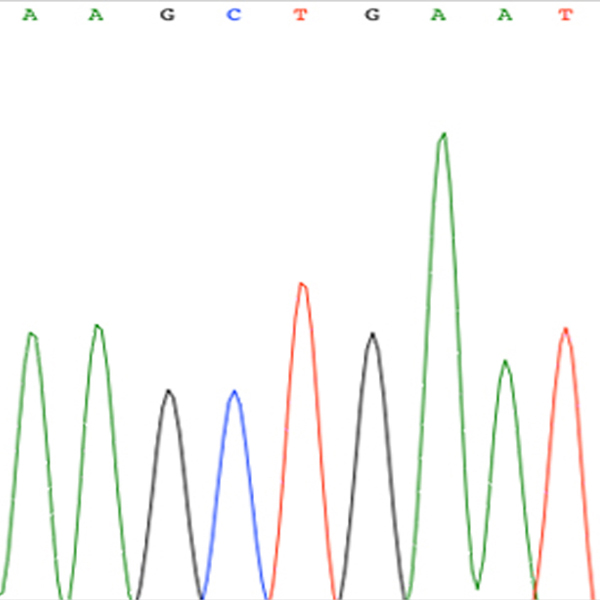 sequencing
