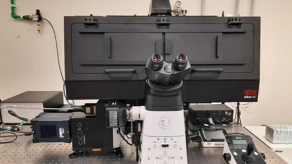 10-Nikon ILas2 TIRF