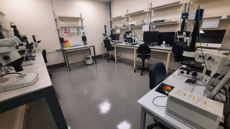 11-WideField room